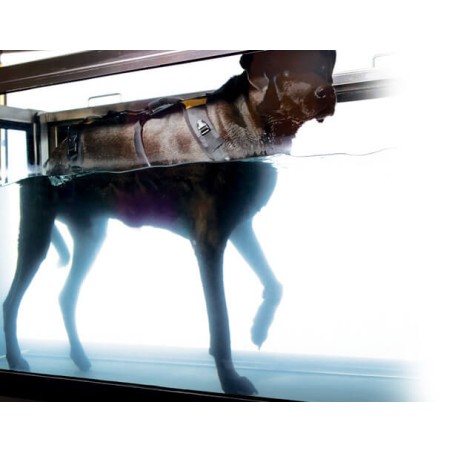 Harnais de portage résistant et ajustable pour tout le corps du chien help em up par mikan