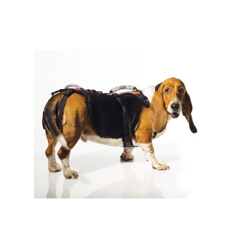 Harnais de portage résistant et ajustable pour tout le corps du chien help em up par mikan
