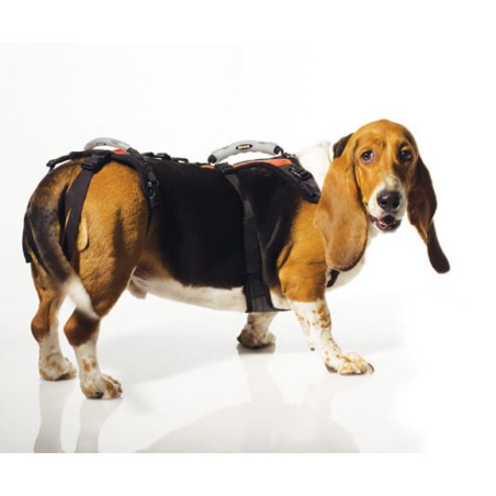 Harnais de portage résistant et ajustable pour tout le corps du chien help em up par mikan