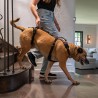Harnais de portage résistant et ajustable pour tout le corps du chien help em up par mikan