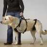 Harnais de portage résistant et ajustable pour tout le corps du chien help em up par mikan