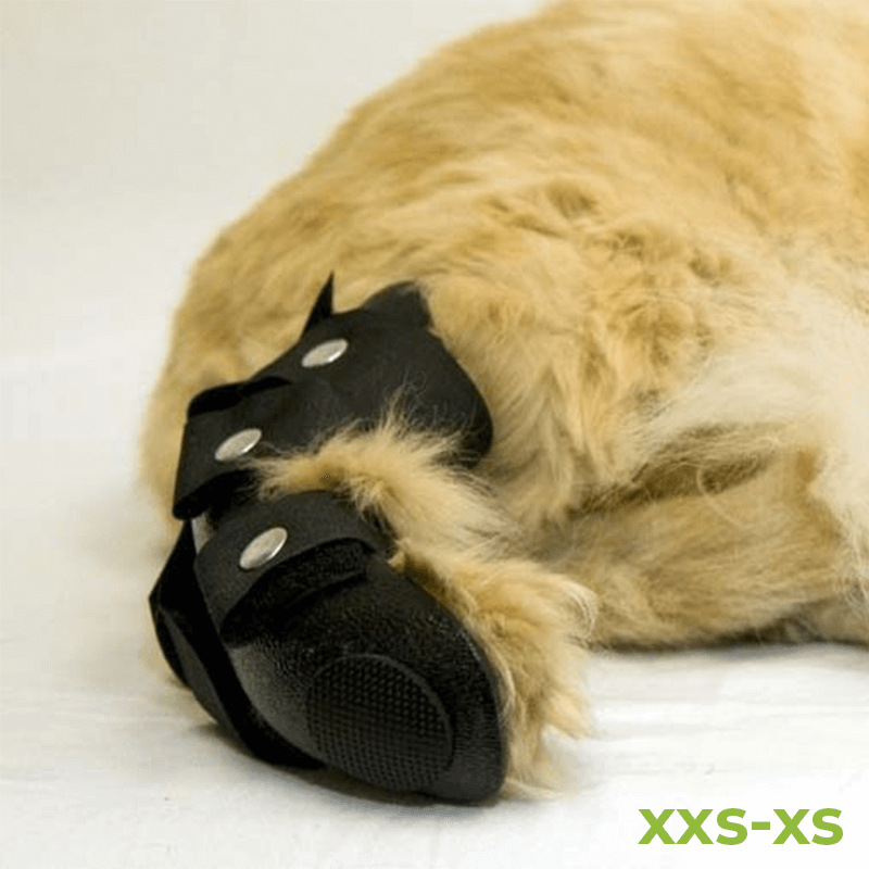 Attelle rigide de soutien ou rééducation de la patte arrière pour chat