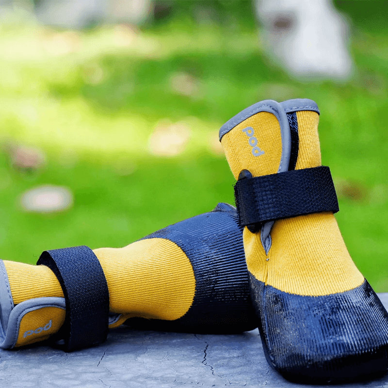 Chaussures souples légères pour chien et chat