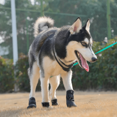 Chaussures souples rembourrées hiver pour chien et chat