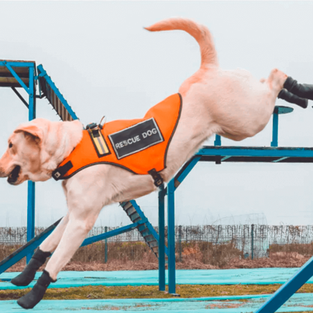 Bottines respirantes et légères pour chien et chat