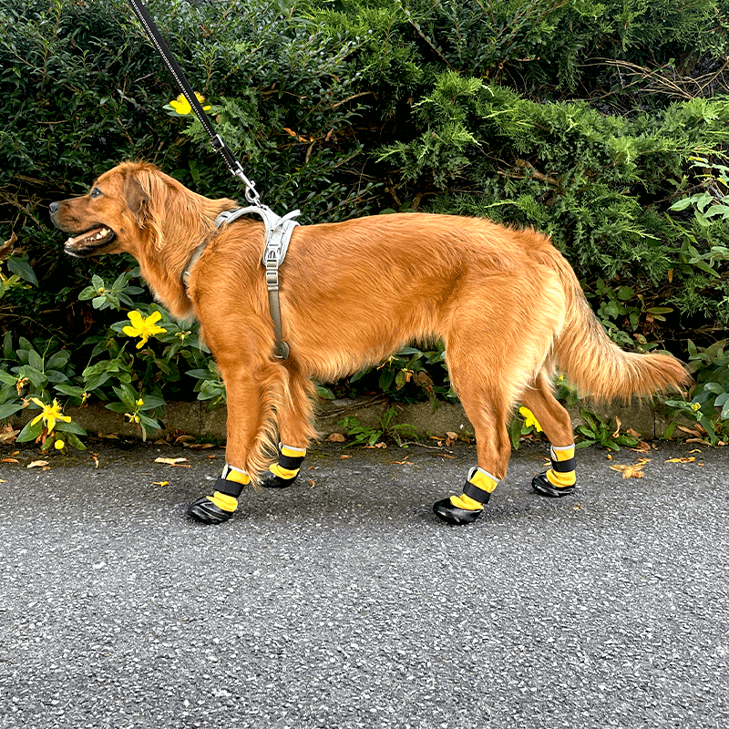 Chaussures souples légères pour chien et chat