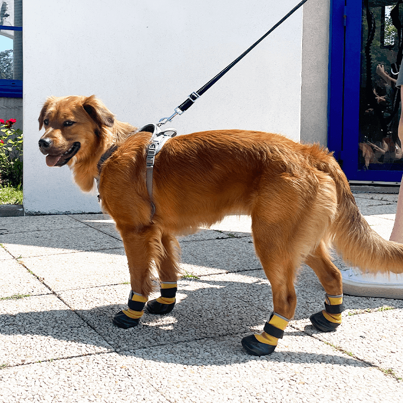 Chaussures souples légères pour chien et chat