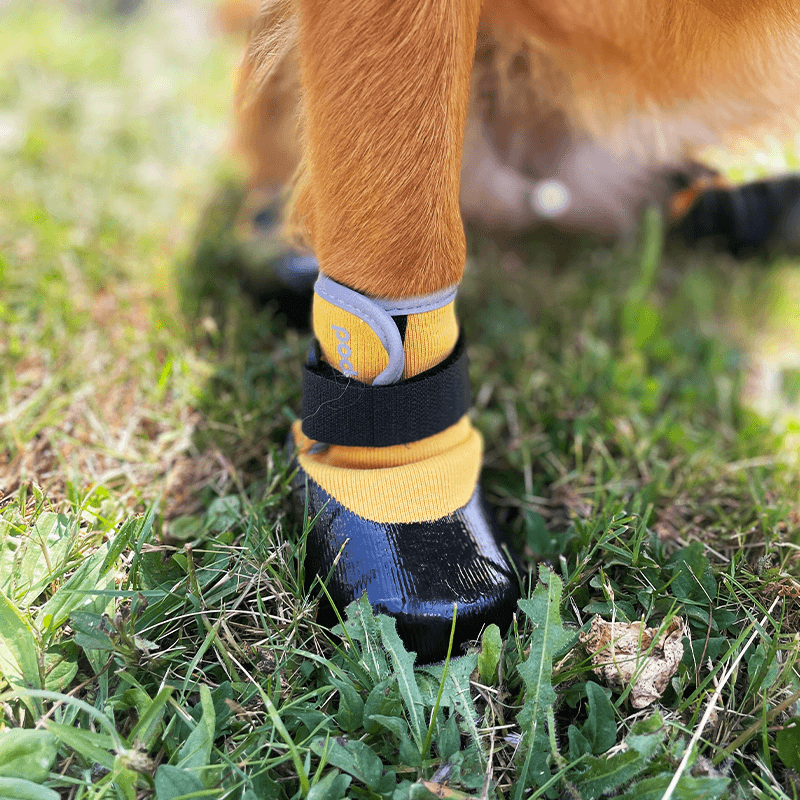 Chaussures souples légères pour chien et chat