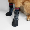 Chaussettes confort antidérapantes et chaudes pour chien et chat