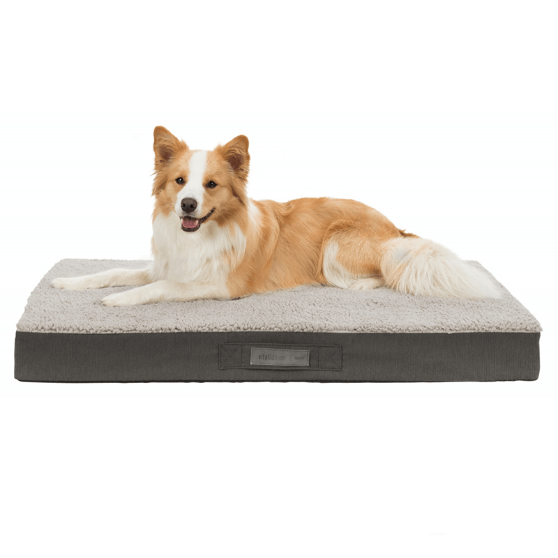 Matelas à mémoire de forme chien et chat
