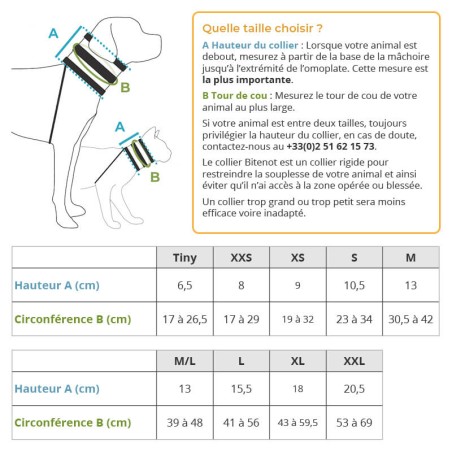 guide des tailles collier collerette chat chien alternative colerette Bitenot Mikan