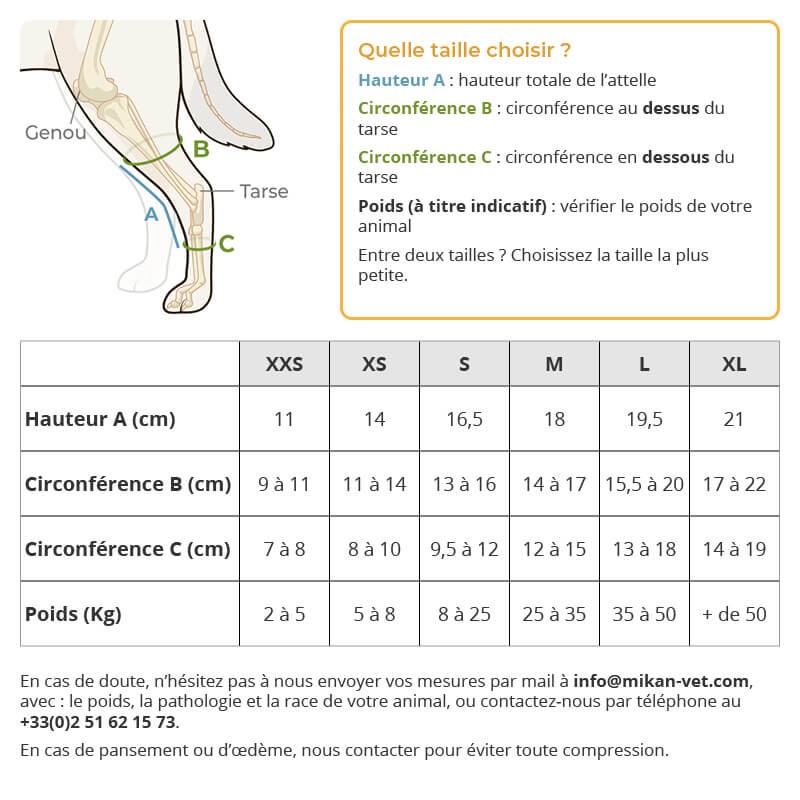 Attelle du tarse patte arrière chien chat Balto mikan prise de mesure