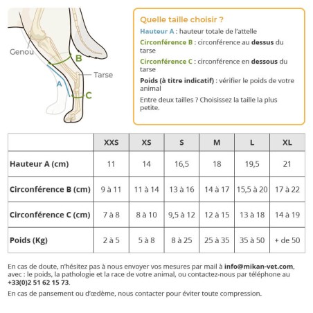 Attelle du tarse patte arrière chien chat Balto mikan prise de mesure