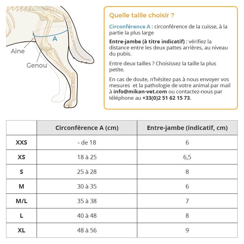 harnais de portage pattes arrière walkin'warrior pour chien, mikan prise de mesure