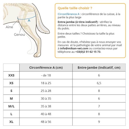 harnais de portage pattes arrière walkin'warrior pour chien, mikan prise de mesure