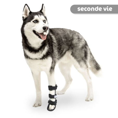 Attelle rigide pour animaux d'occasion : patte avant