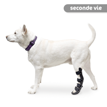Attelle rigide pour animaux d'occasion : patte arriere