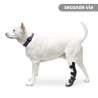 Attelle rigide pour animaux d'occasion : patte arriere