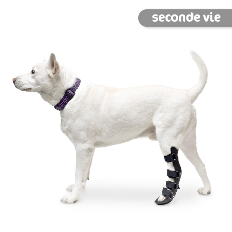 attelle rigide pour animaux occasion - patte arrière