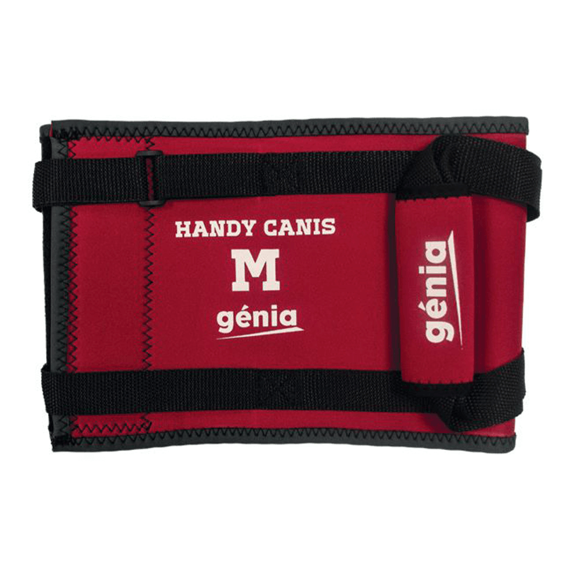 Harnais de portage abdominal pour chien et chat