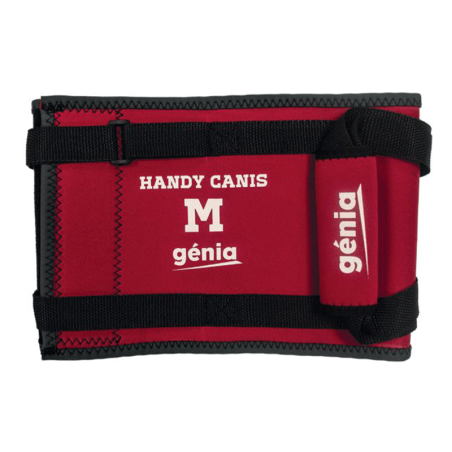 Harnais de portage abdominal pour chien et chat