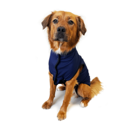 Body de protection pour animaux Vetbody