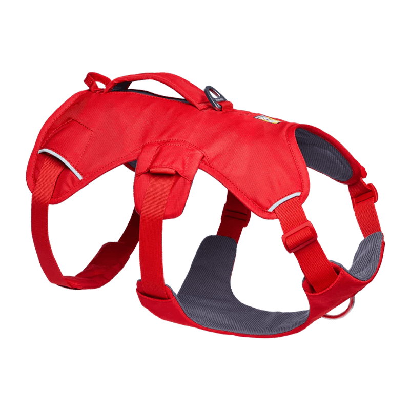 harnais de portage pour chien Master™ Ruffwear