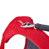 harnais de portage pour chien Master™ Ruffwear