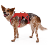 harnais de portage pour chien Master™ Ruffwear