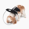 protection pour chien malvoyant ou aveugle muffin's Halo, guide harnais anti-collision