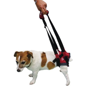 harnais pattes arrière pour chien à mobilité réduite ou âgé