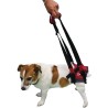 harnais pattes arrière pour chien à mobilité réduite ou âgé
