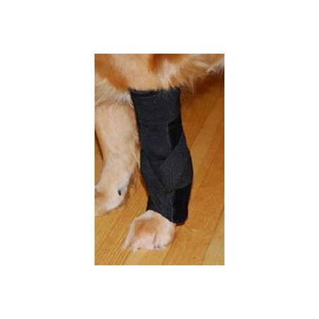 attelle-pour-chien-carpal-sur-mesure.jpg