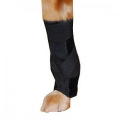 attelle-pour-chien-carpal-sur-mesure.jpg