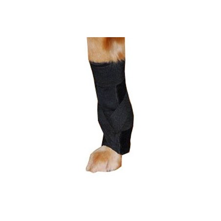 attelle-pour-chien-carpal-sur-mesure.jpg