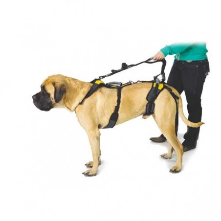Laisse pour harnais help em up pour chien mikan