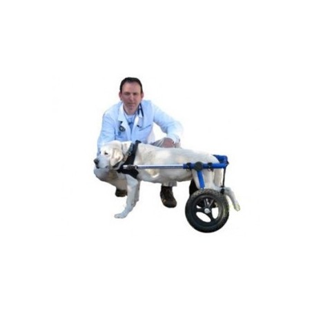 chariot-pour-chien-handicape-walkin-wheels.jpg