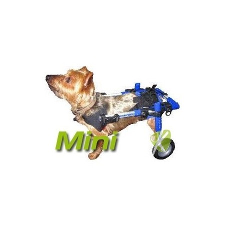 chariot-pour-chien-handicape-walkin-wheels.jpg