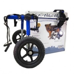 chiot - Modes de transport pour petits / vieux chiens qui fatiguent vite - Page 8 Chariot-roulant-pour-chien-handicape-walkin-wheels