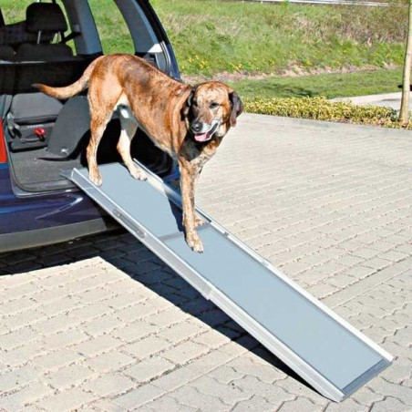 Rampe télescopique pour chiens - aide d´accès à la voiture pour les chiens,  aluminium