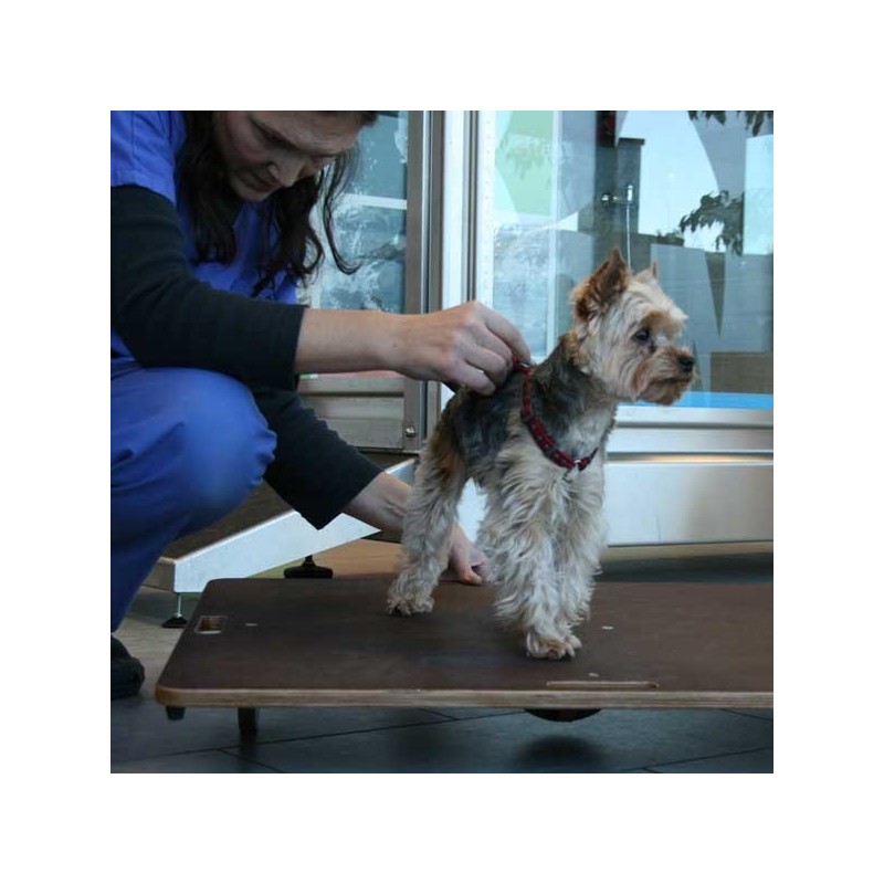 Planche d'équilibre pour animaux