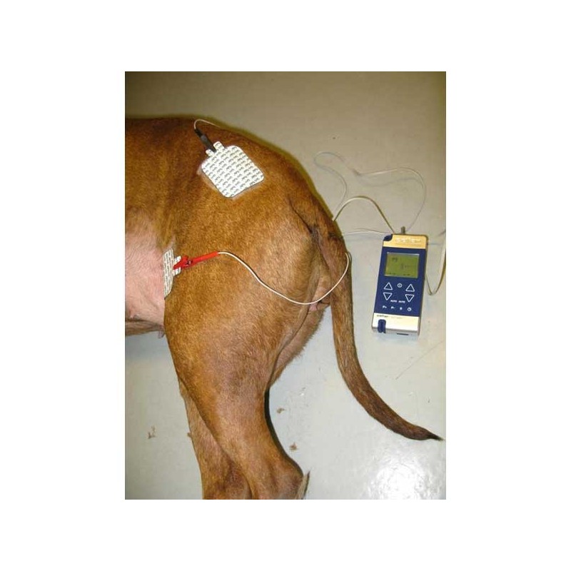 Neuro-stimulateur RehabX² - Location