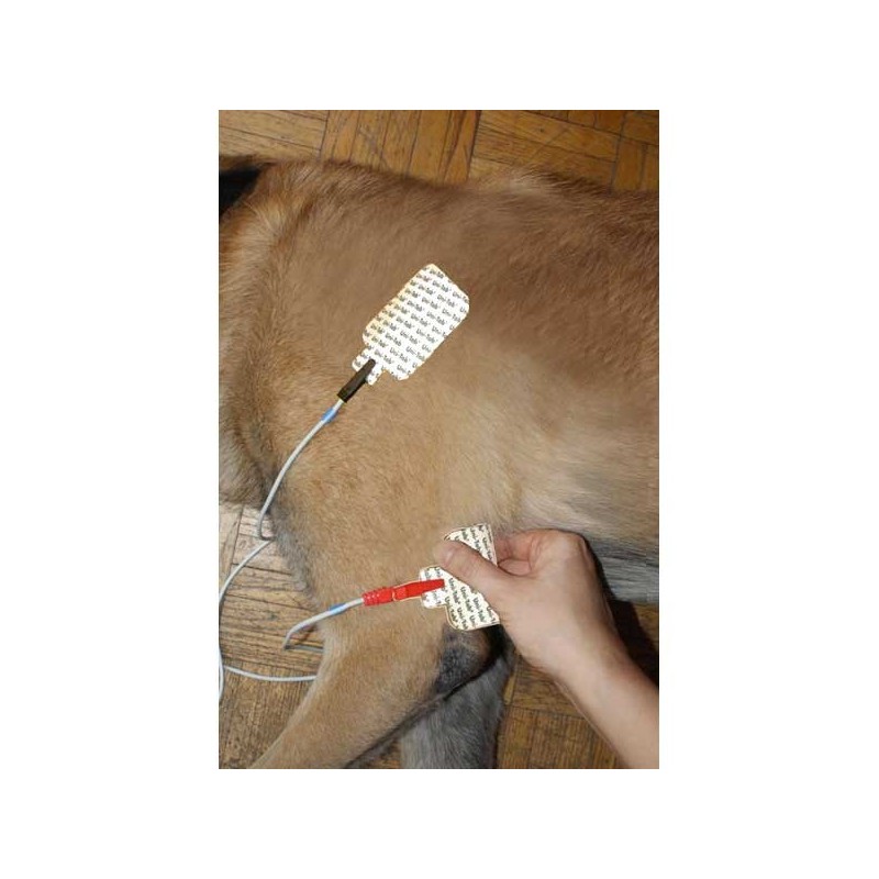 Neuro-stimulateur RehabX² - Location