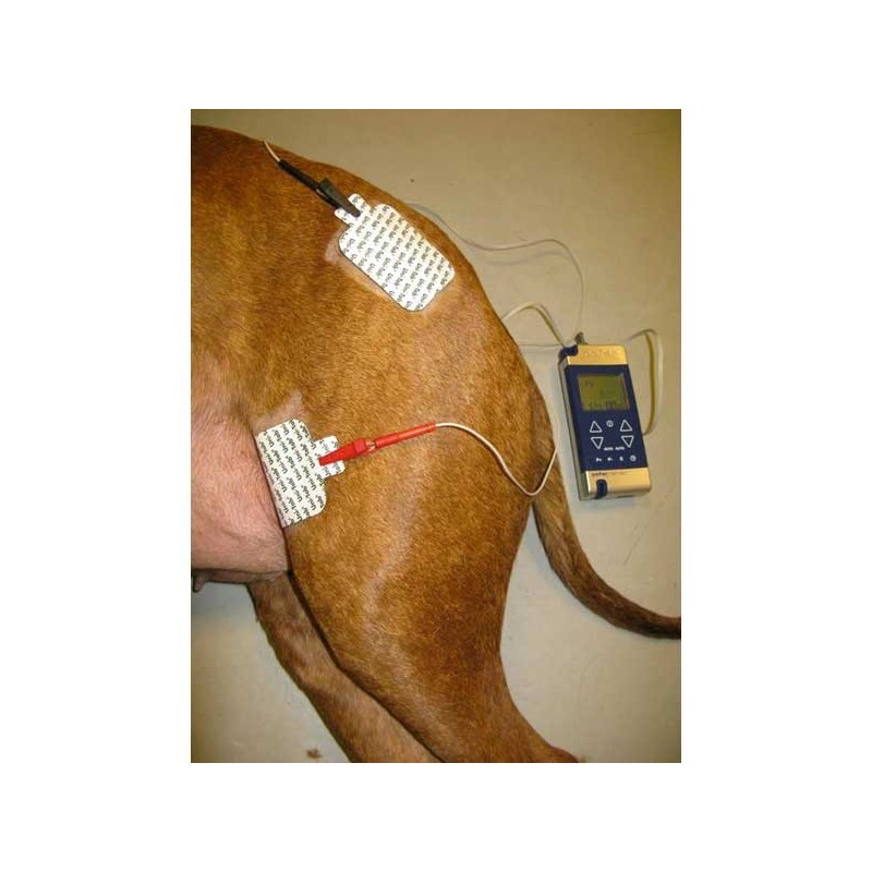 Neuro-stimulateur RehabX² - Location