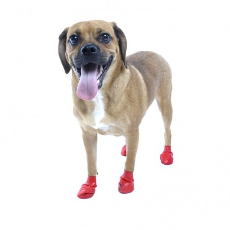 chaussure-pour-chien-pawz.jpg