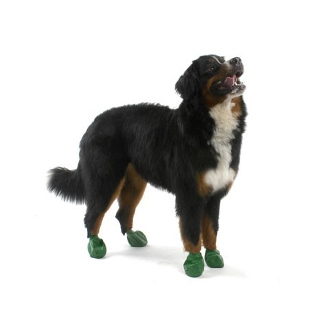 chaussure-pour-chien-pawz.jpg