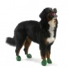 chaussure-pour-chien-pawz.jpg