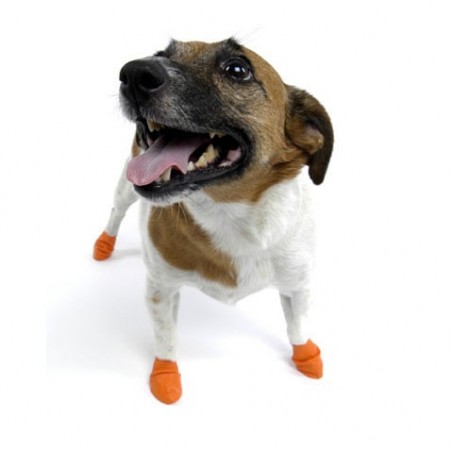 chaussure-pour-chien-pawz.jpg