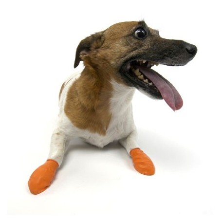 chaussure-pour-chien-pawz.jpg