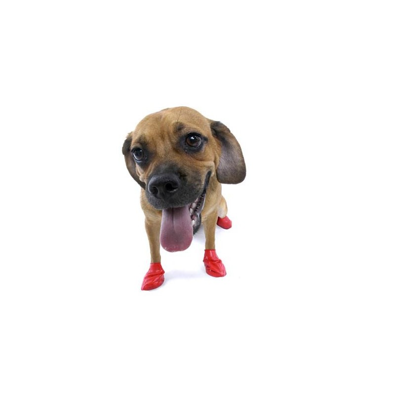 chaussure-pour-chien-pawz.jpg